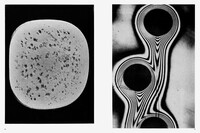 Batia Suter - © Jérémy Vitté