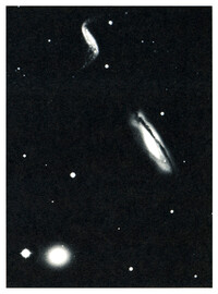 Batia Suter - © Jérémy Vitté