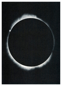 Batia Suter - © Jérémy Vitté