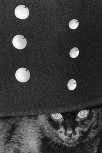 Jil Sander - © Jérémy Vitté