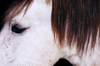 Jil Sander - © Jérémy Vitté