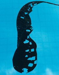 Jil Sander - © Jérémy Vitté