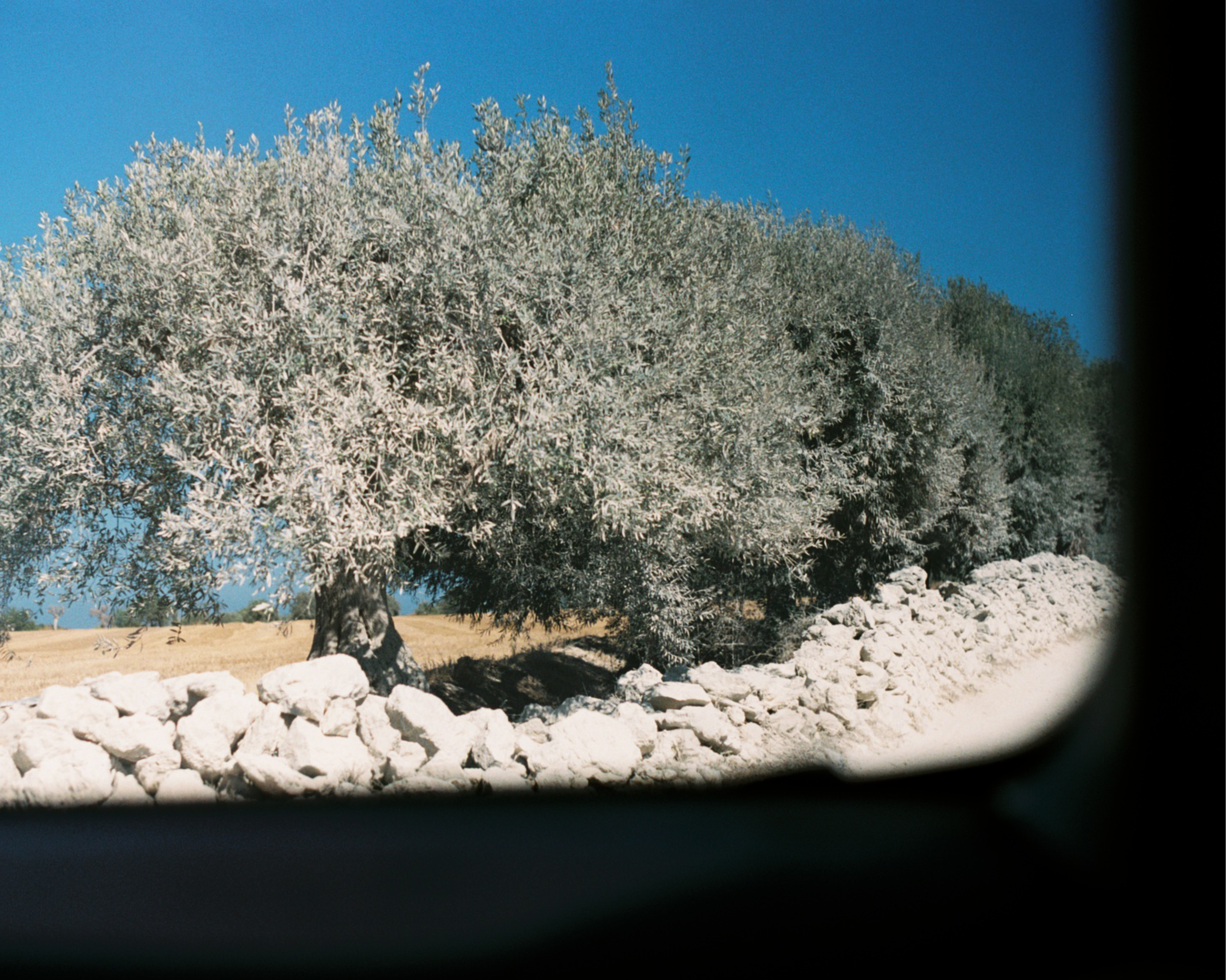 Maar - © Jérémy Vitté