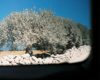 Maar - © Jérémy Vitté