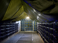 MAH Geneva - © Jérémy Vitté