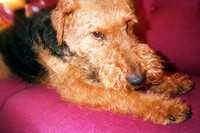 MAH-Geneva - © Jérémy Vitté