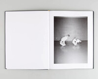 Marching Wolves - © Jérémy Vitté